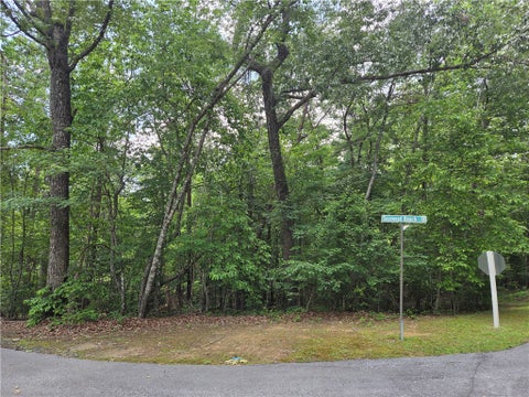 Vacant Land For Sale - 31 Turtlehead Drive<br/> Salem, SC 29676