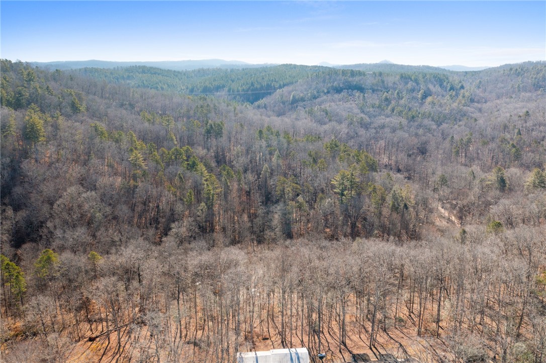 187 Possum Holler, Pickens, South Carolina image 25