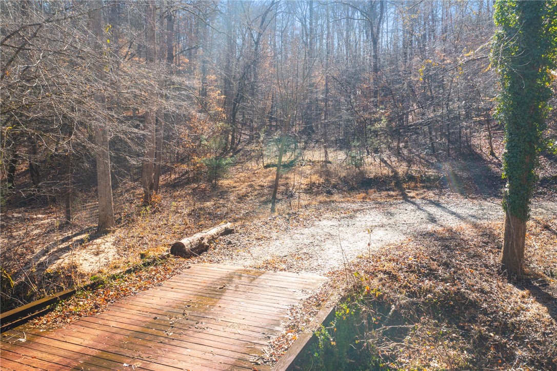187 Possum Holler, Pickens, South Carolina image 13