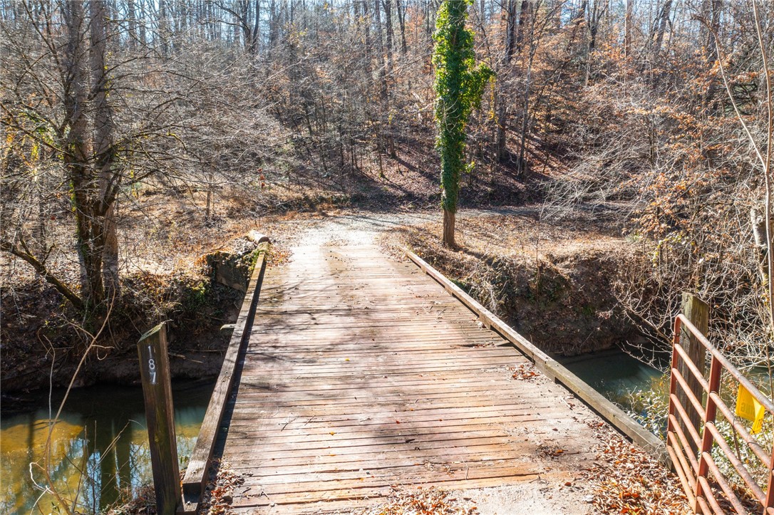187 Possum Holler, Pickens, South Carolina image 12