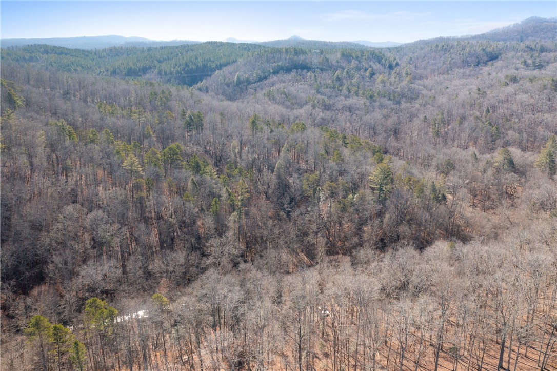 187 Possum Holler, Pickens, South Carolina image 18