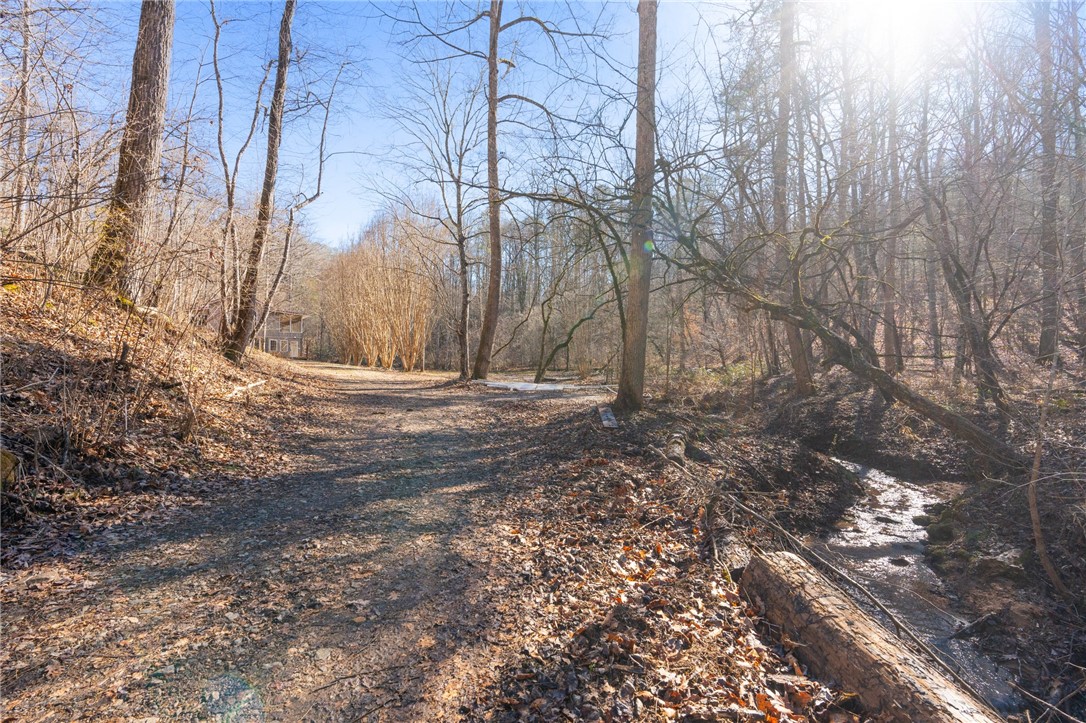 187 Possum Holler, Pickens, South Carolina image 16
