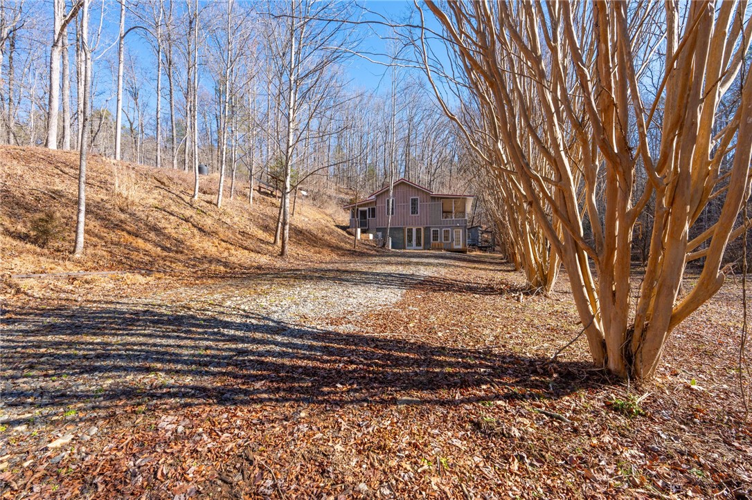 187 Possum Holler, Pickens, South Carolina image 5