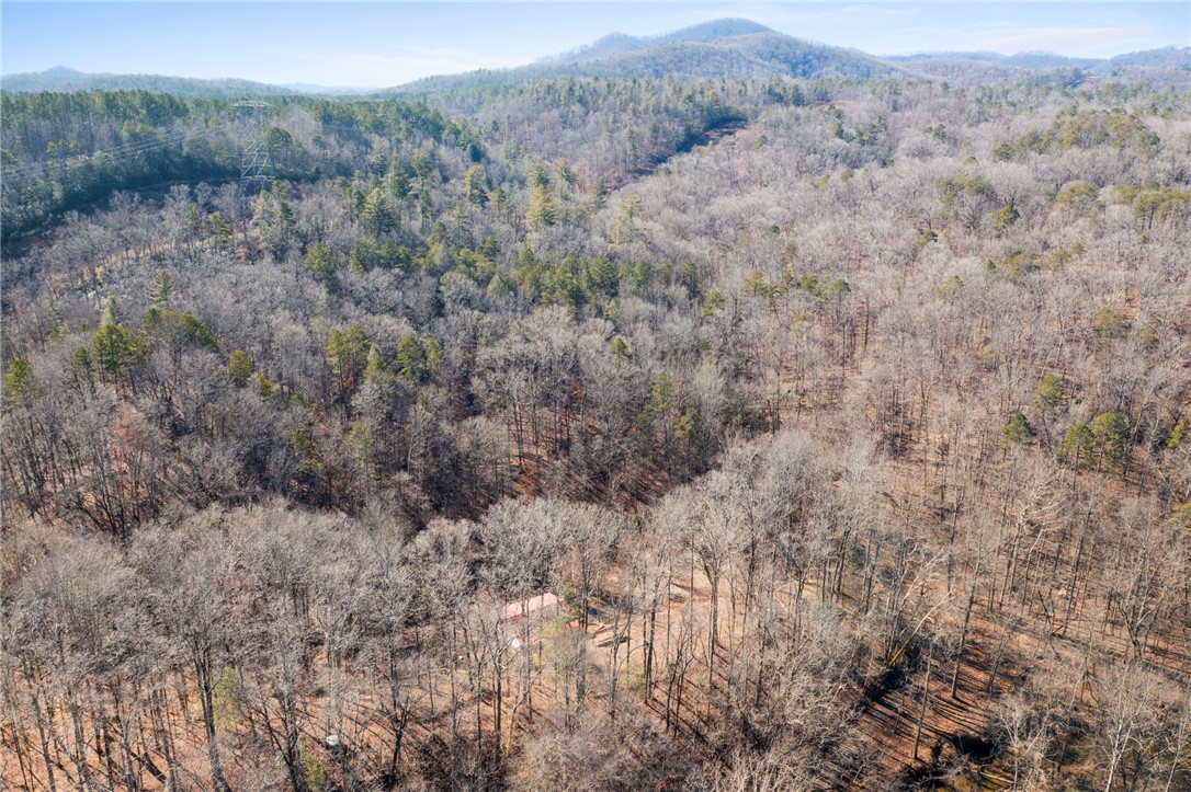 187 Possum Holler, Pickens, South Carolina image 32