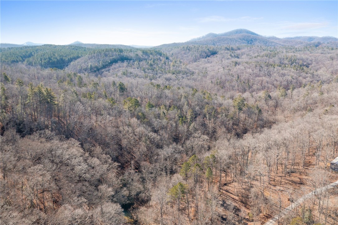 187 Possum Holler, Pickens, South Carolina image 19