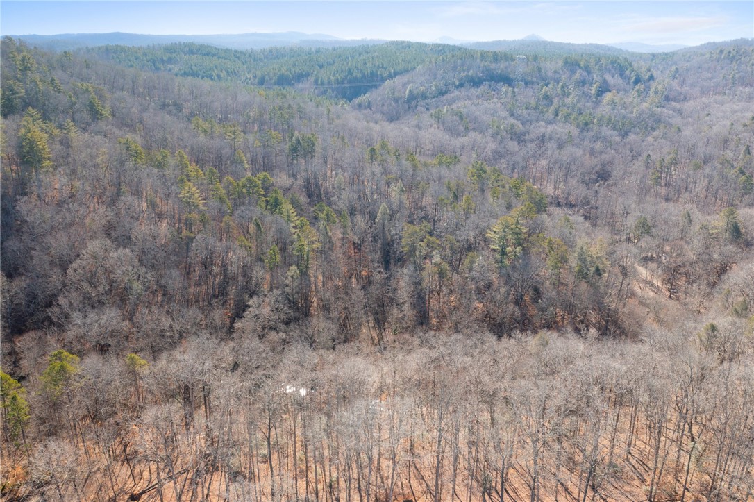 187 Possum Holler, Pickens, South Carolina image 20