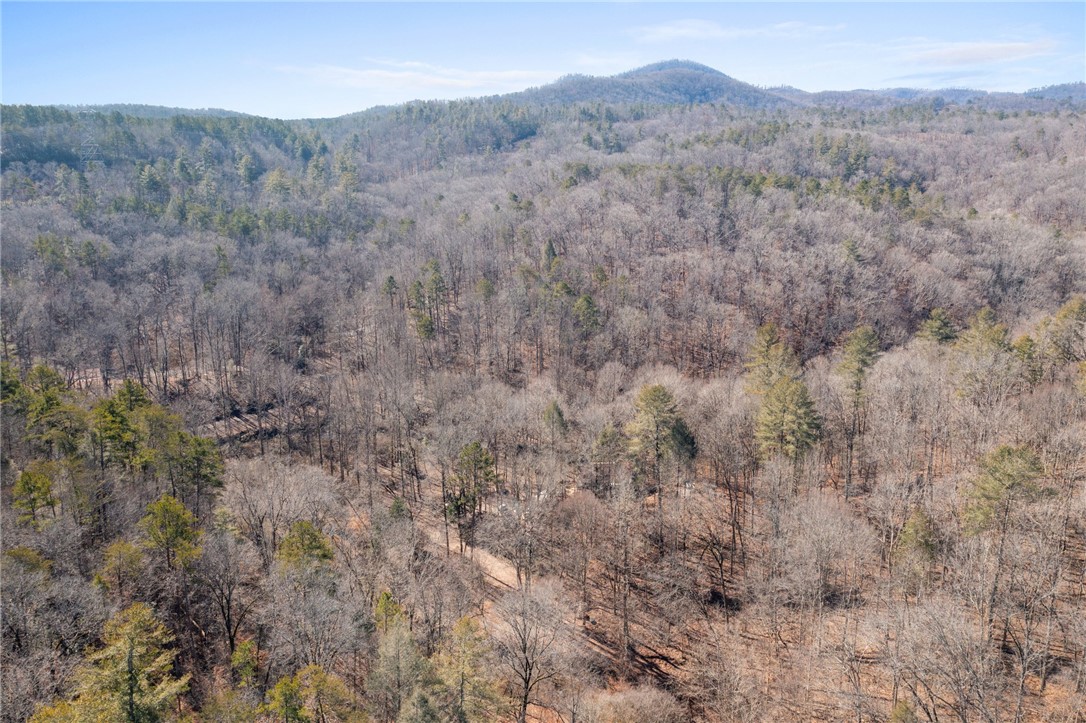 187 Possum Holler, Pickens, South Carolina image 26