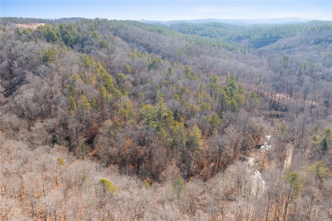 187 Possum Holler, Pickens, South Carolina image 24