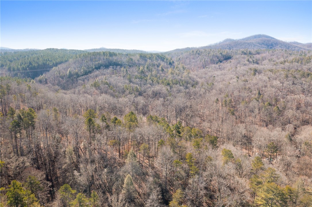 187 Possum Holler, Pickens, South Carolina image 34