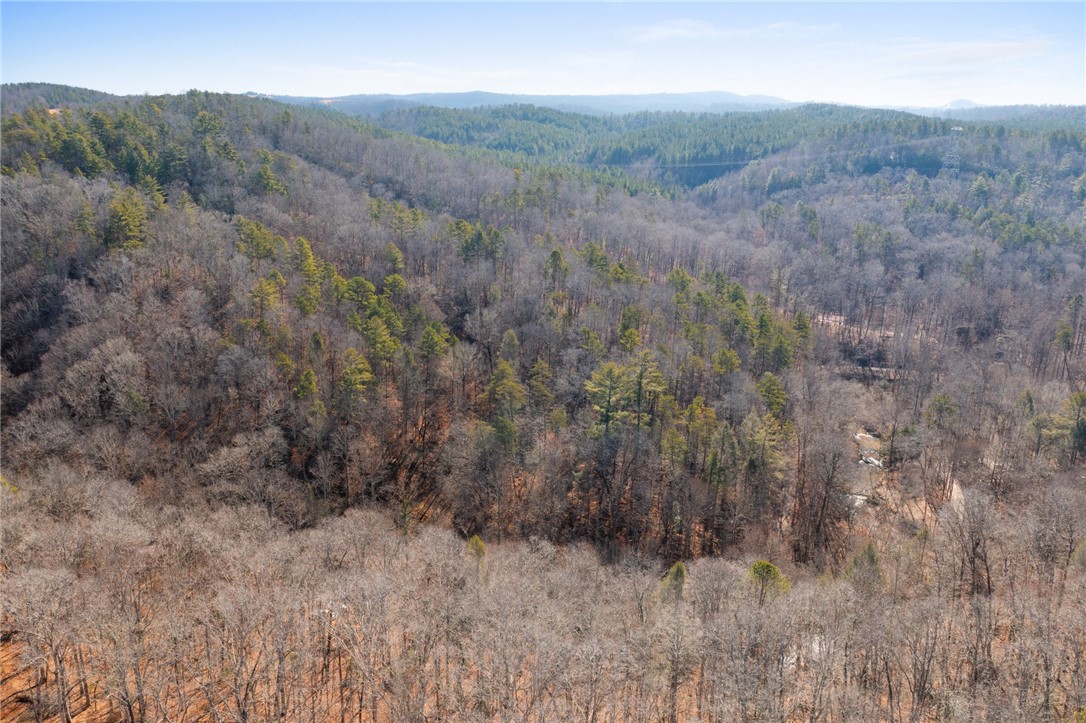 187 Possum Holler, Pickens, South Carolina image 23