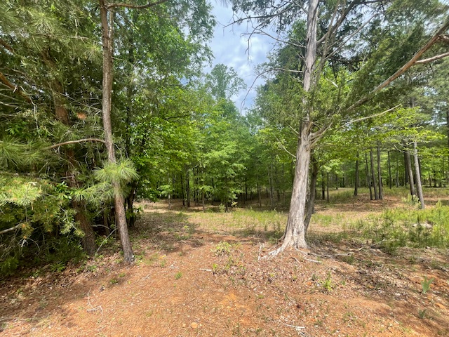 Lot 1 Stokes Drive, Seneca, South Carolina image 10