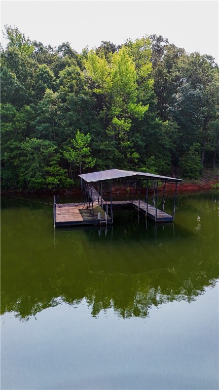 425 Lakewood Drive, Townville, South Carolina image 44