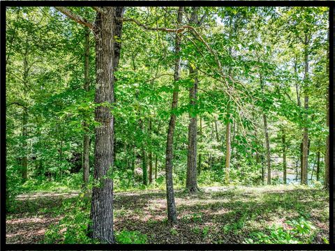 Vacant Land For Sale - 164 Wild Azalea Point<br/> Seneca, SC 29672