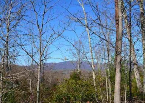 Vacant Land For Sale - 1130 Packs Mountain Ridge Road<br/> Taylors, SC 29687