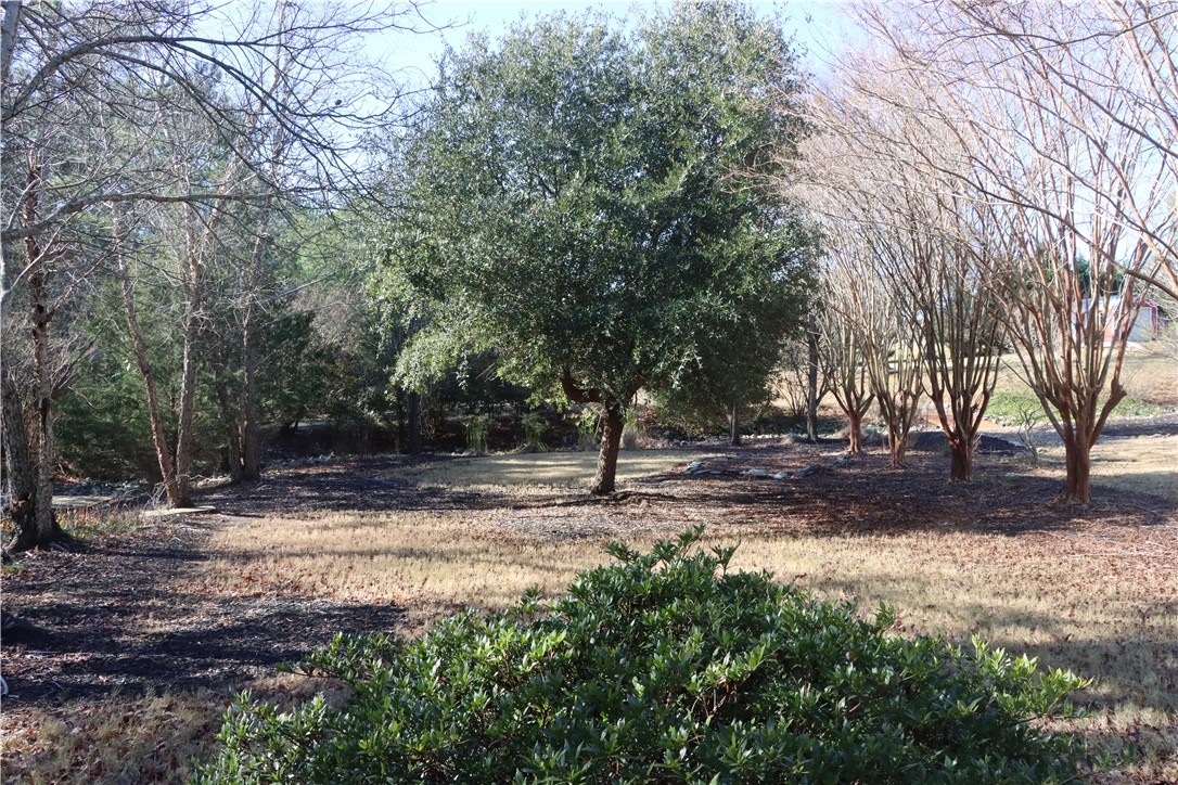 120 Harbour Springs Way, Anderson, South Carolina image 30