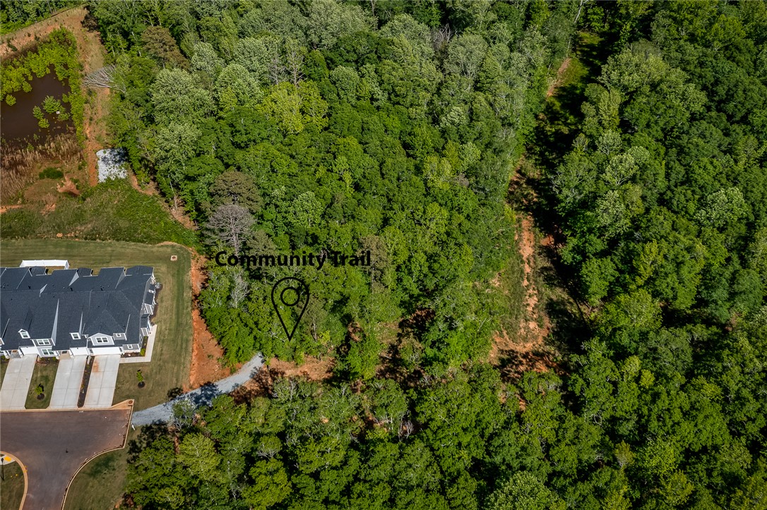 139 Ridgeline Row, Central, South Carolina image 42