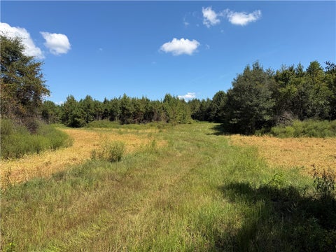 Vacant Land For Sale - 1 Royster Road<br/> Townville, SC 29689