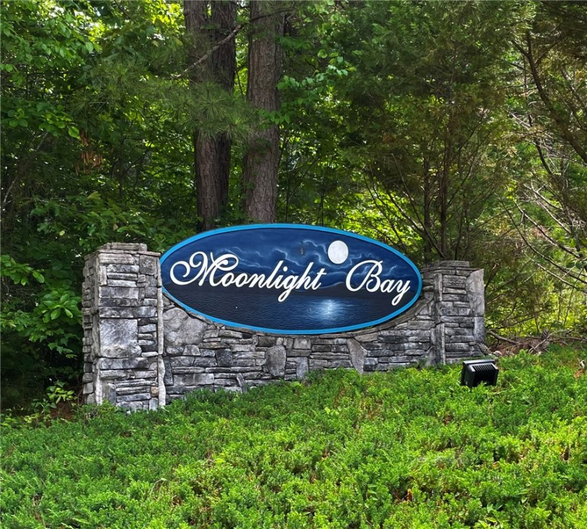 103 Moonlight Drive, Fair Play, South Carolina image 4