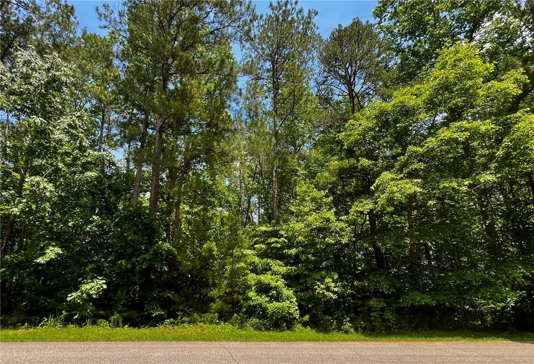 103 Moonlight Drive, Fair Play, South Carolina image 5