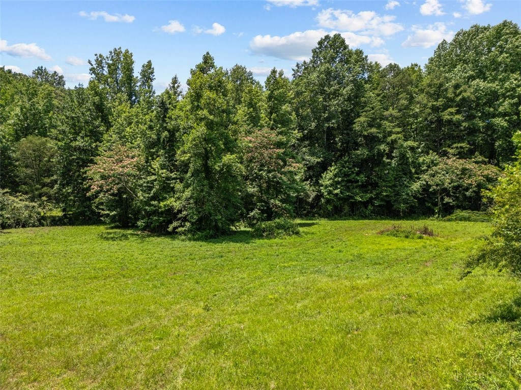 2699 Highway 11, Travelers Rest, South Carolina image 1