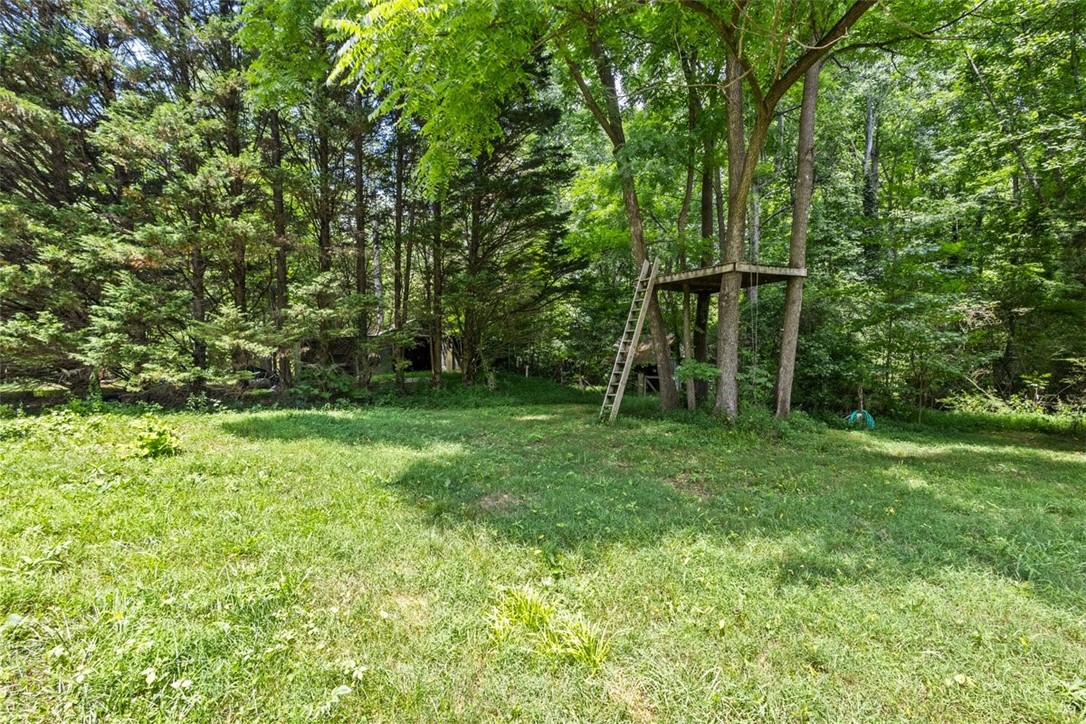 2699 Highway 11, Travelers Rest, South Carolina image 6