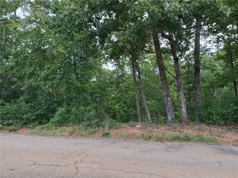 Vacant Land For Sale - Left Fork Road #LOT 72<br/> Pickens County, Pickens, SC 29671