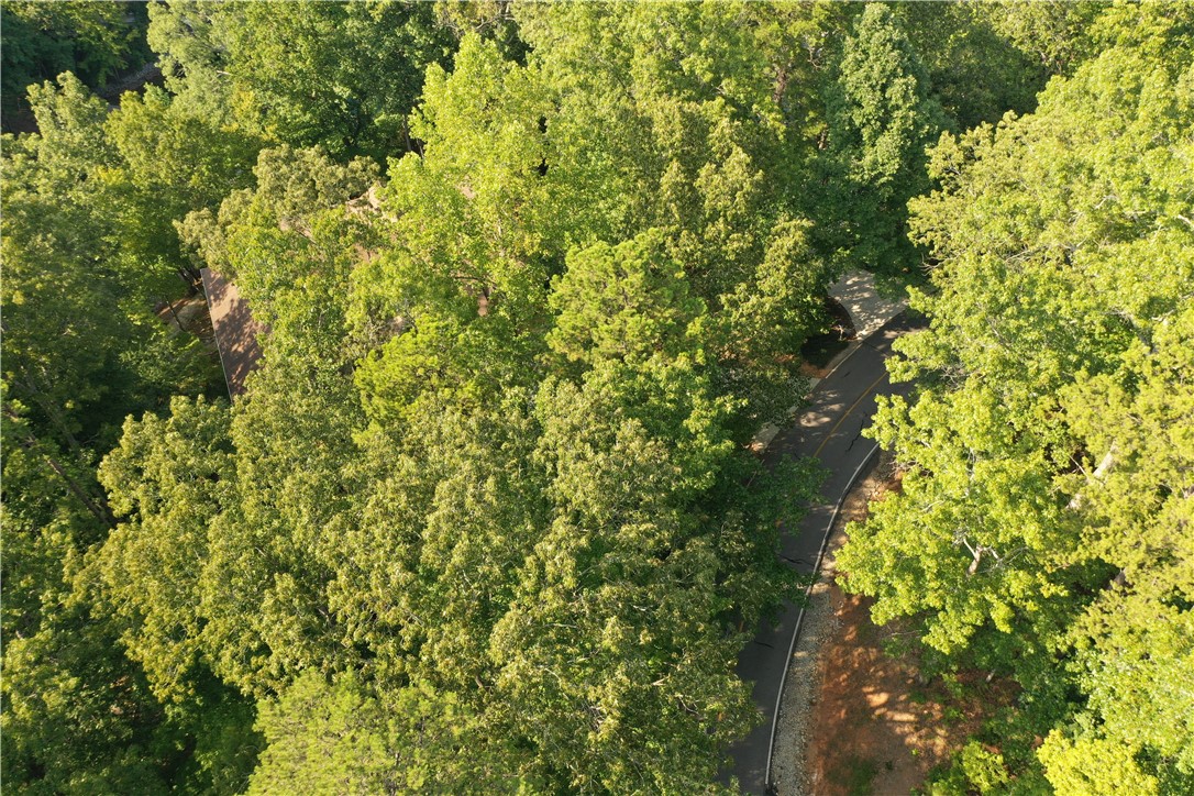 515 N Flagship Drive, Salem, South Carolina image 2