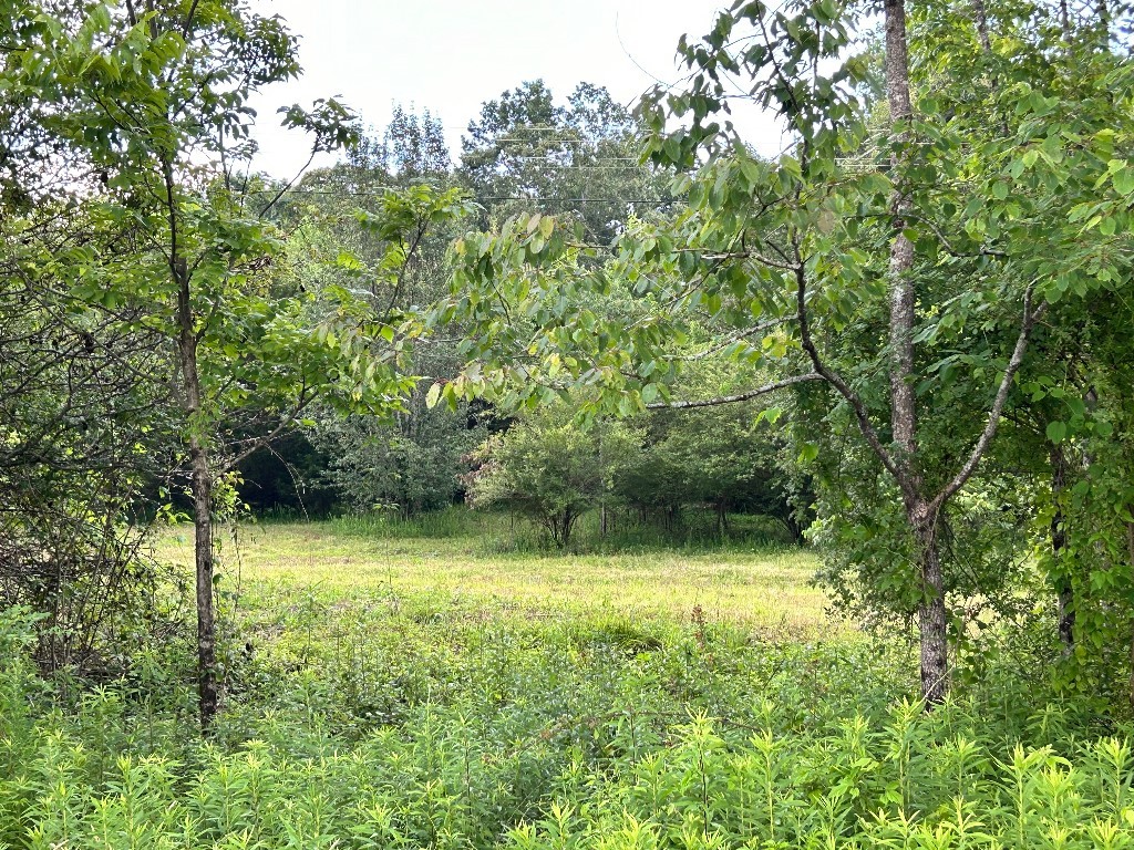 Lot 1 Love And Care Road, Six Mile, South Carolina image 2
