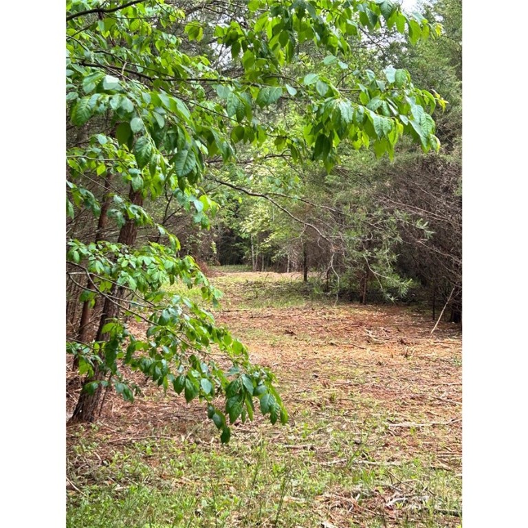 Lot 1 Love And Care Road, Six Mile, South Carolina image 6