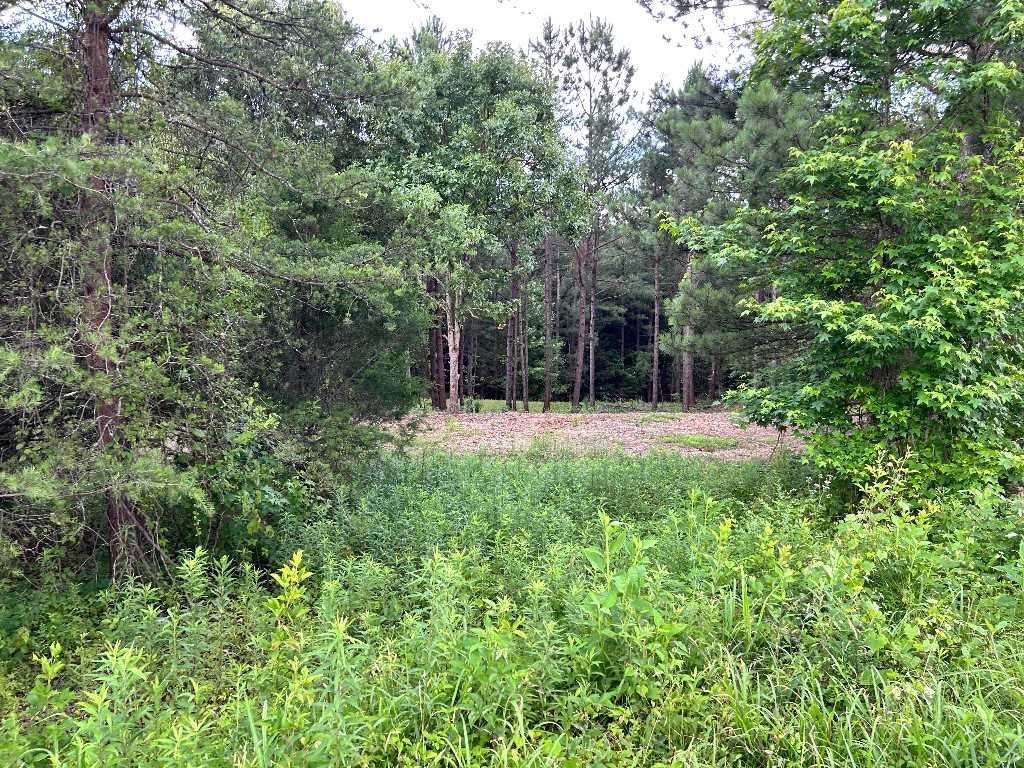 Lot 1 Love And Care Road, Six Mile, South Carolina image 4