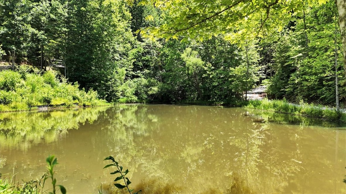 146 Glassy Falls Trail, Travelers Rest, South Carolina image 39