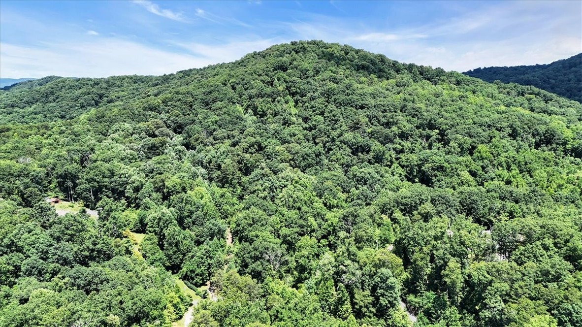 146 Glassy Falls Trail, Travelers Rest, South Carolina image 26