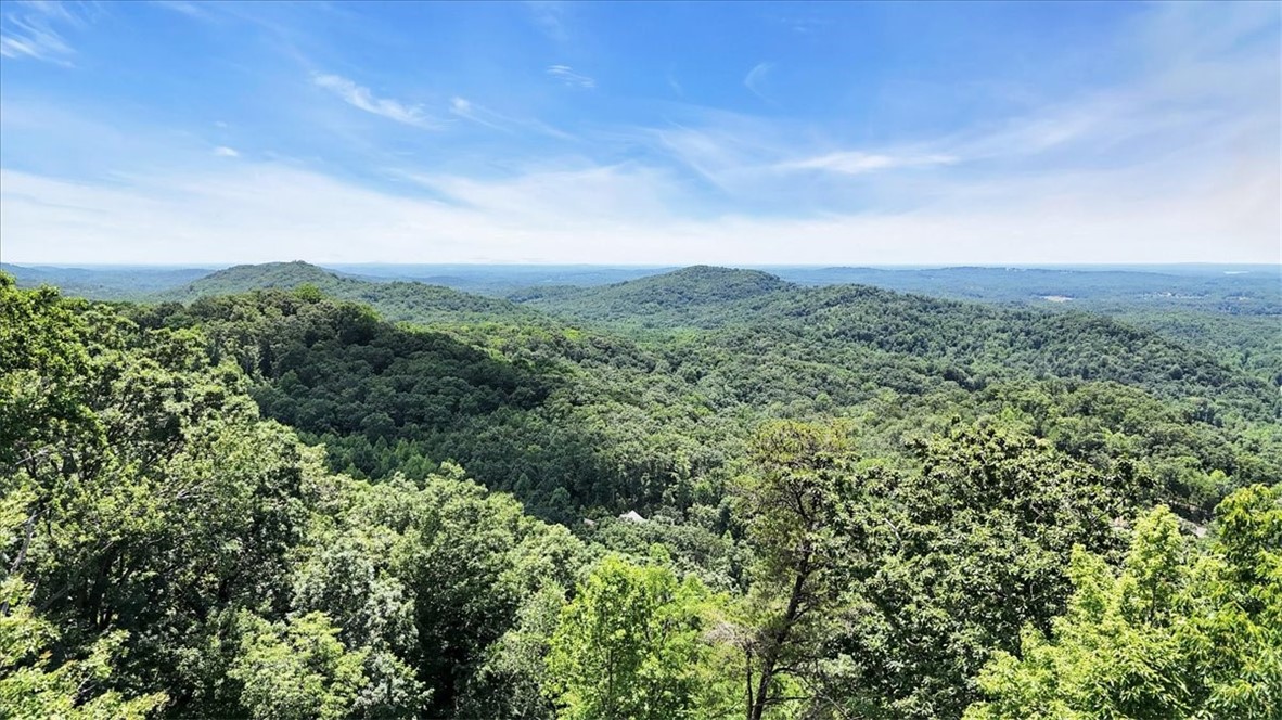 146 Glassy Falls Trail, Travelers Rest, South Carolina image 31