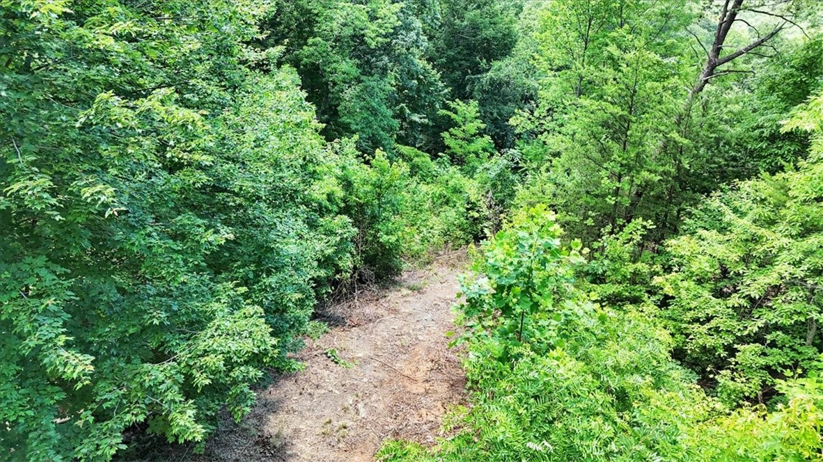 146 Glassy Falls Trail, Travelers Rest, South Carolina image 20