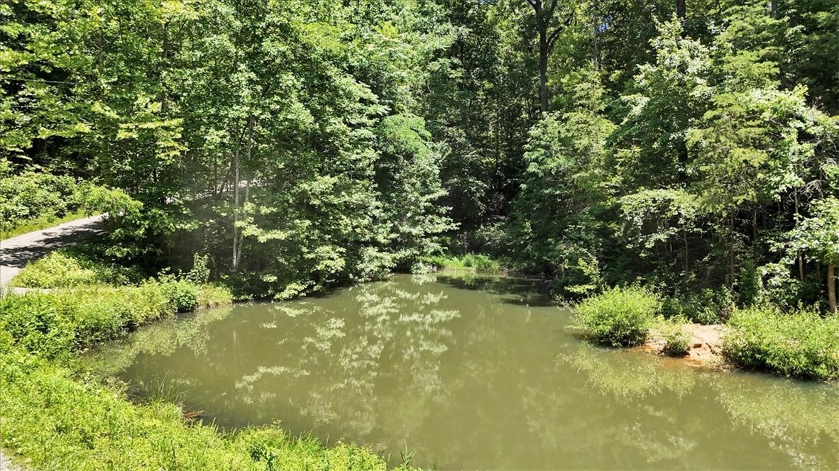 146 Glassy Falls Trail, Travelers Rest, South Carolina image 40