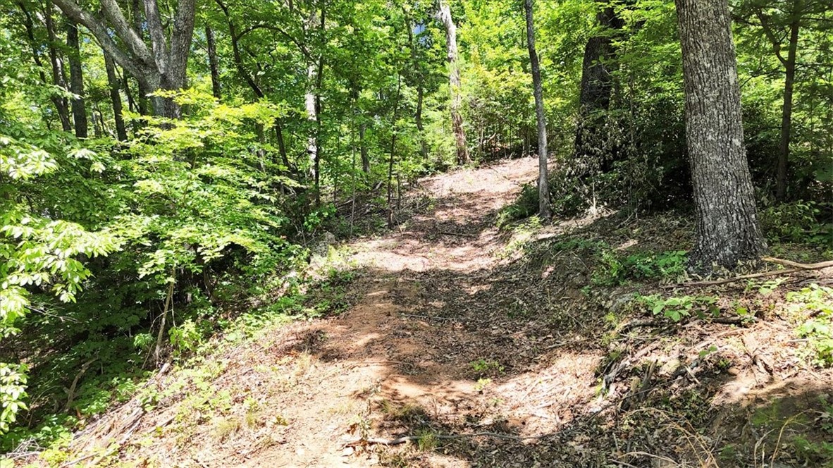 146 Glassy Falls Trail, Travelers Rest, South Carolina image 16