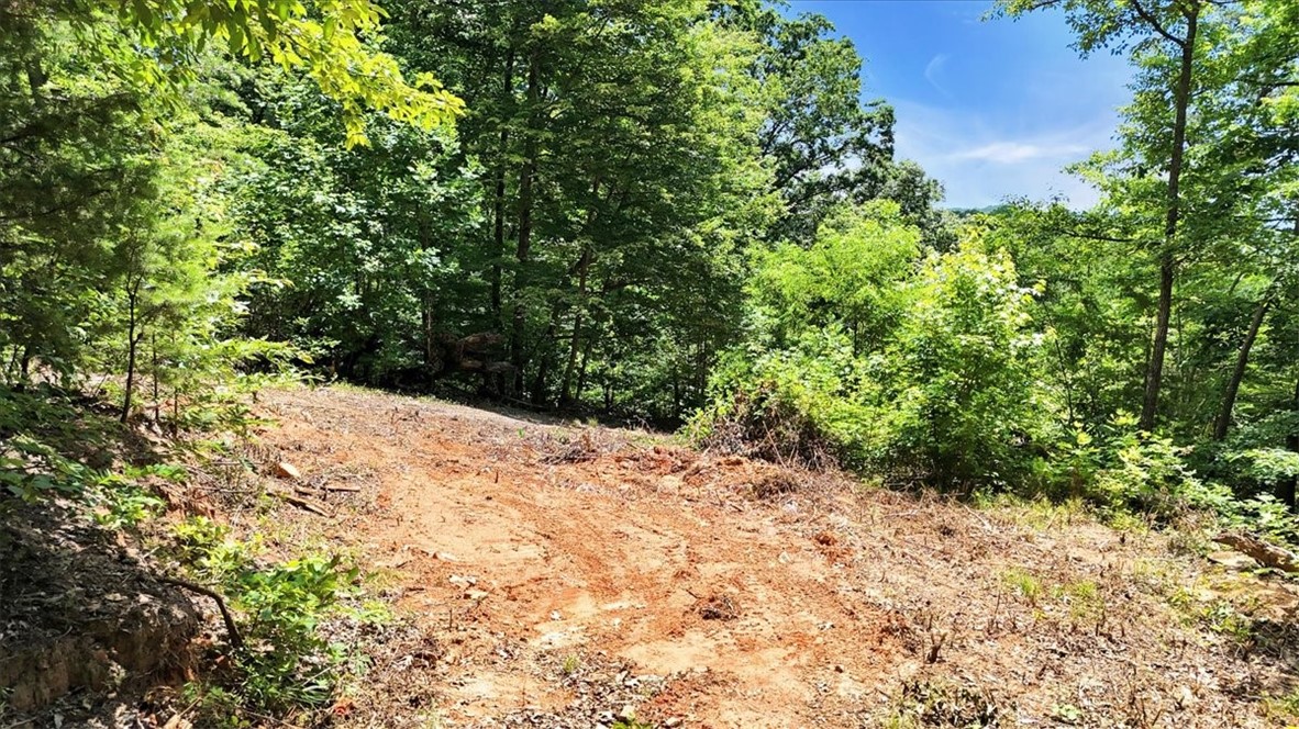 146 Glassy Falls Trail, Travelers Rest, South Carolina image 21