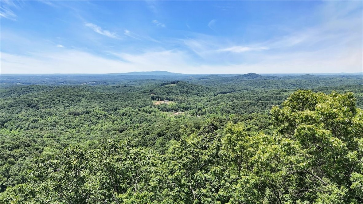 146 Glassy Falls Trail, Travelers Rest, South Carolina image 34