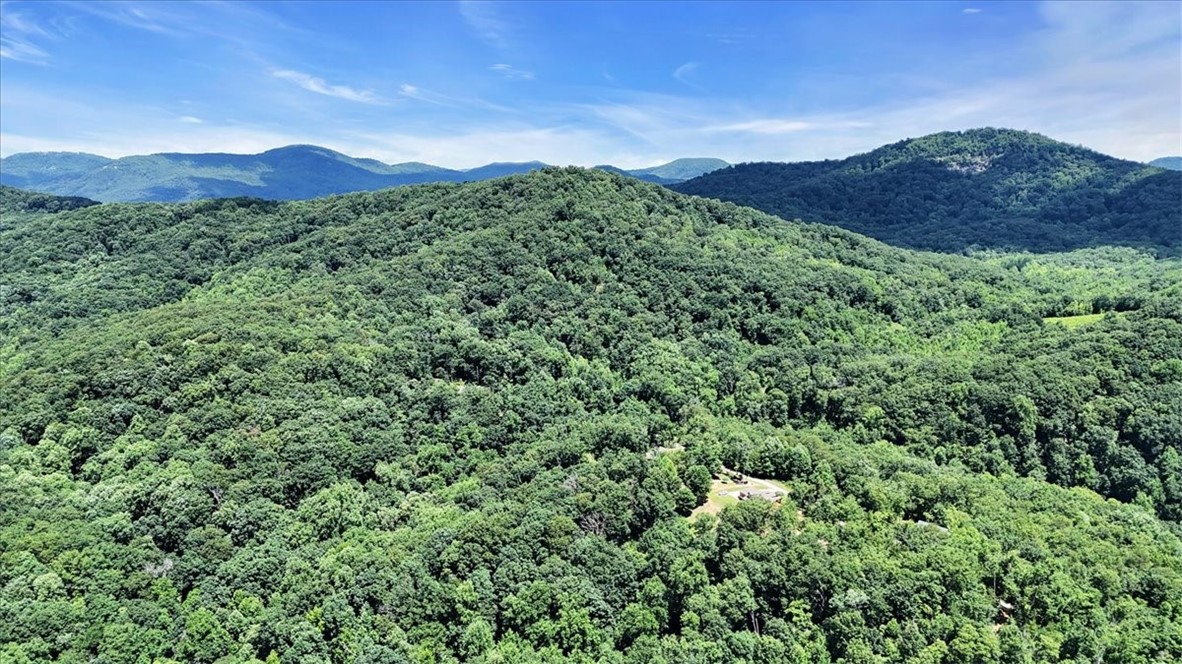 146 Glassy Falls Trail, Travelers Rest, South Carolina image 24