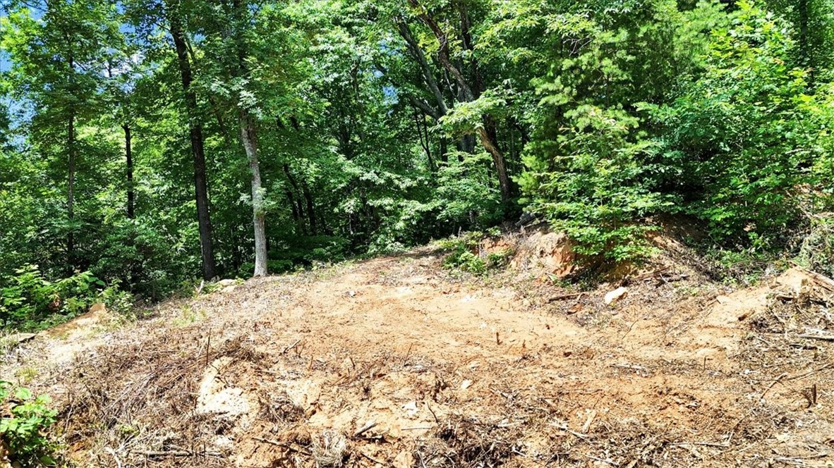 146 Glassy Falls Trail, Travelers Rest, South Carolina image 30