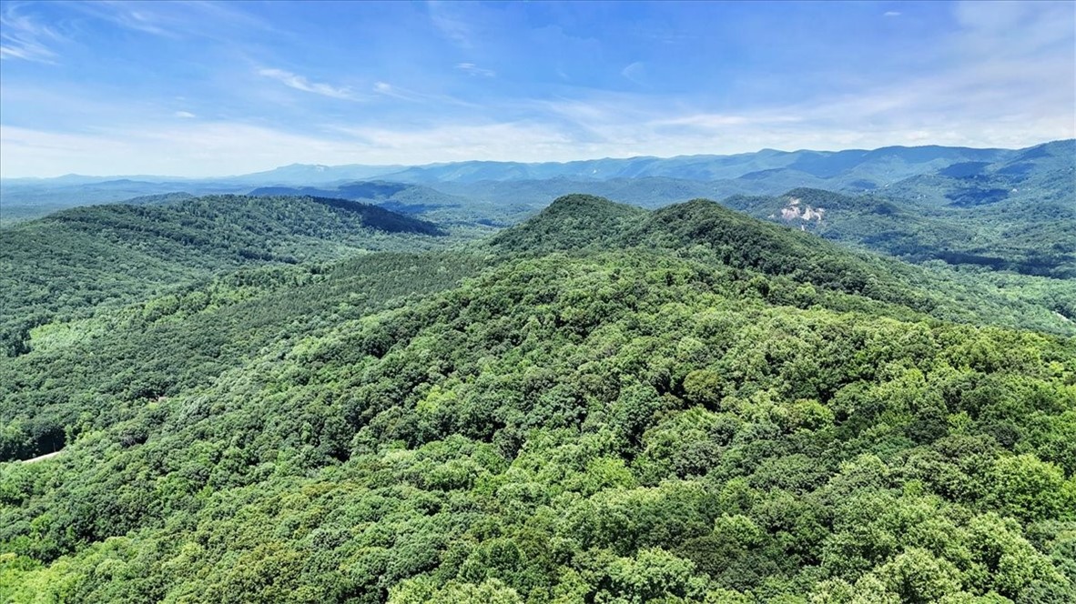 146 Glassy Falls Trail, Travelers Rest, South Carolina image 43