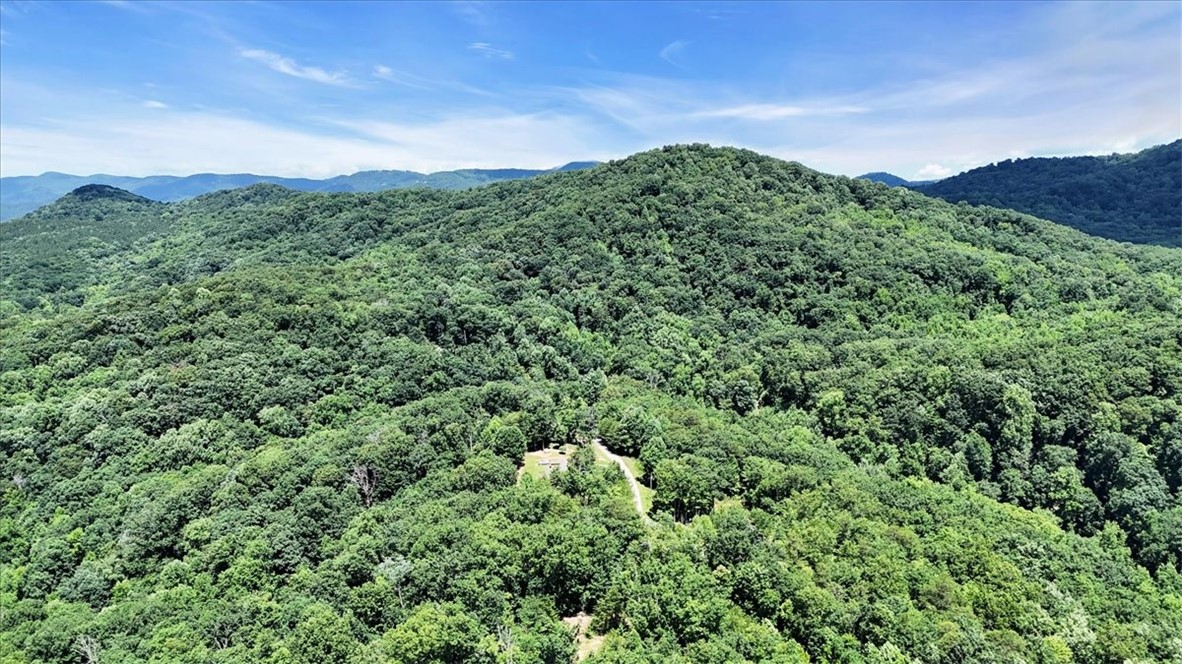146 Glassy Falls Trail, Travelers Rest, South Carolina image 19