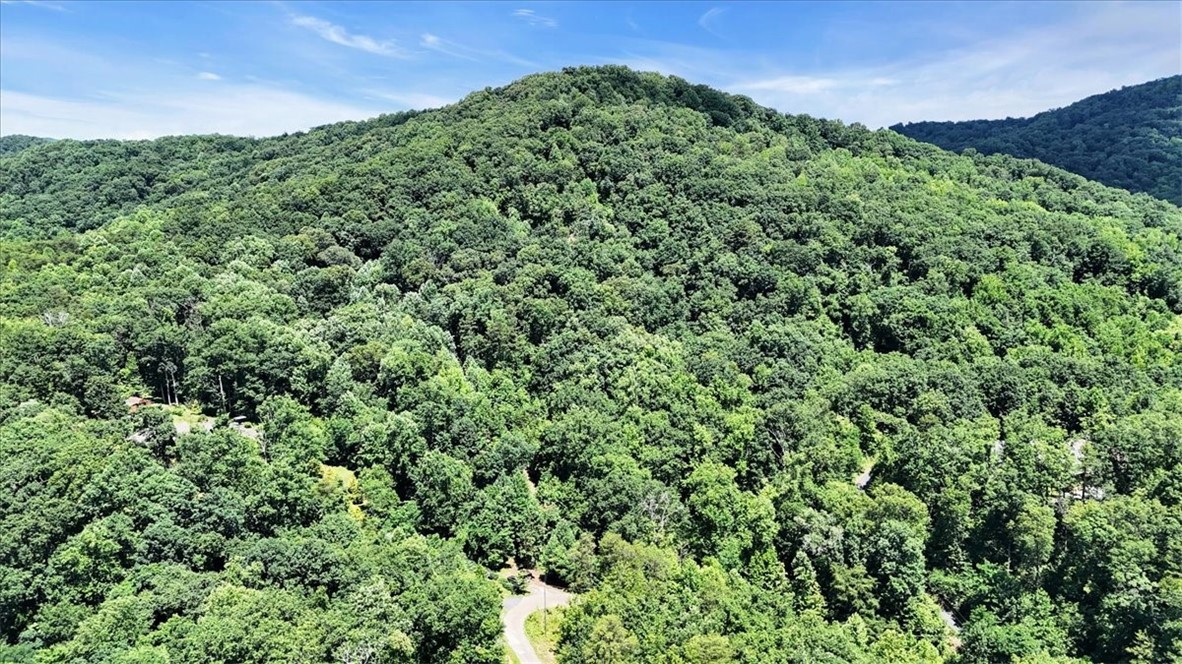 146 Glassy Falls Trail, Travelers Rest, South Carolina image 25