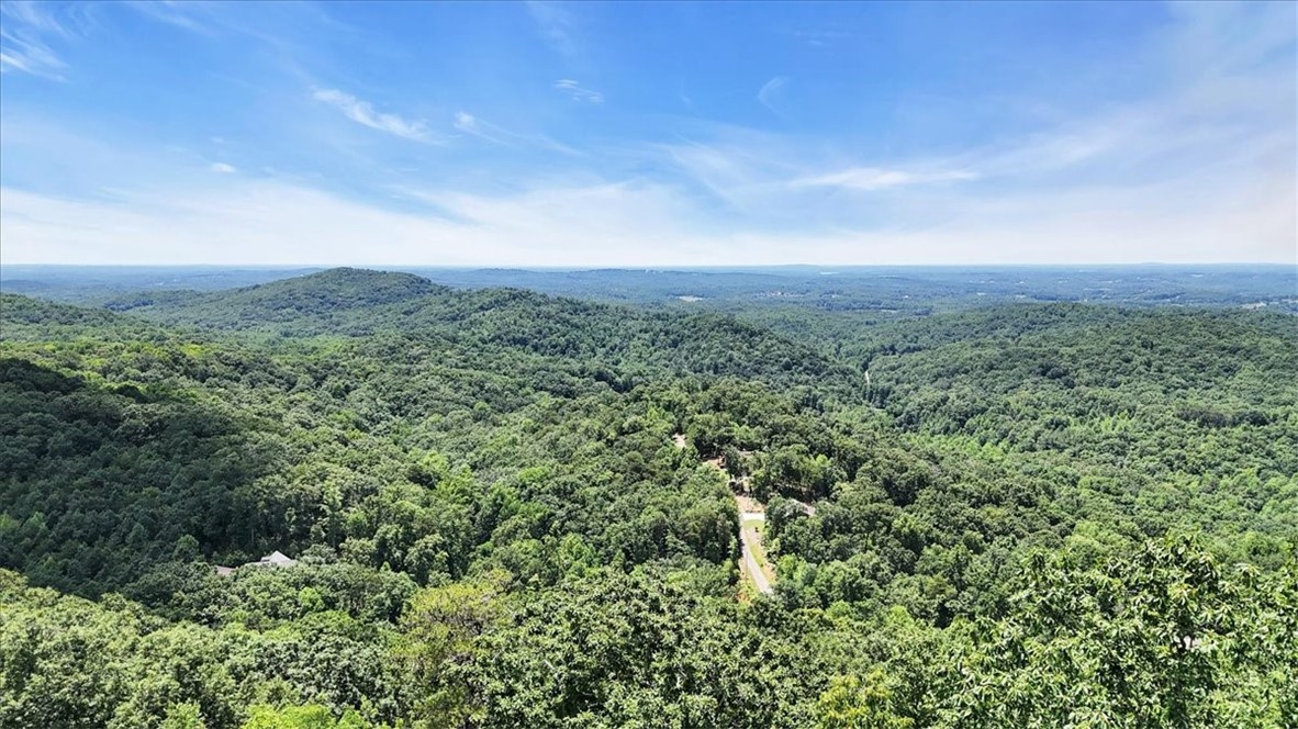 146 Glassy Falls Trail, Travelers Rest, South Carolina image 33