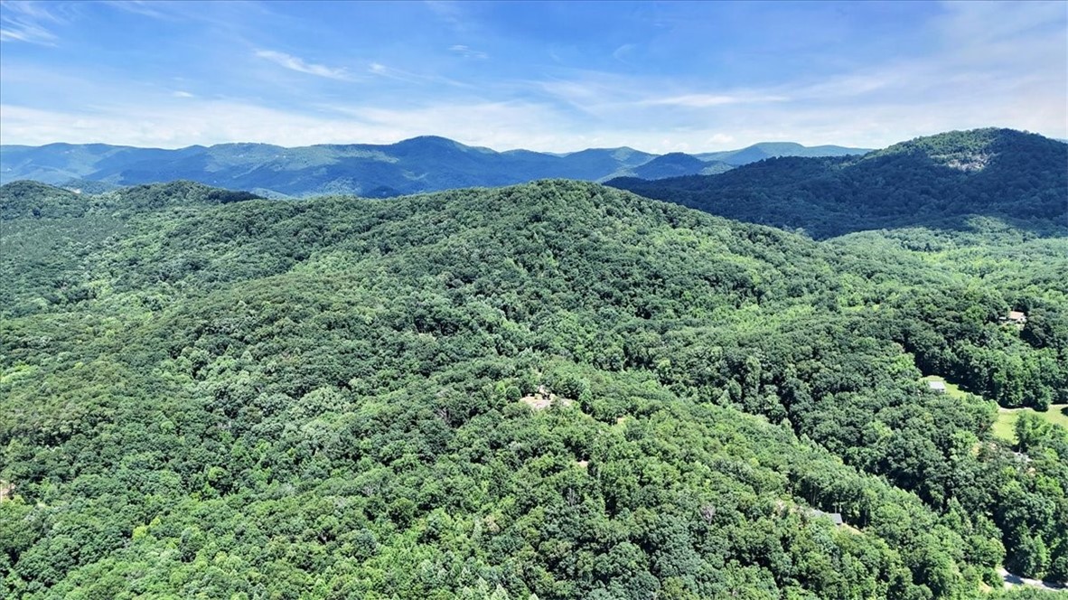 146 Glassy Falls Trail, Travelers Rest, South Carolina image 17