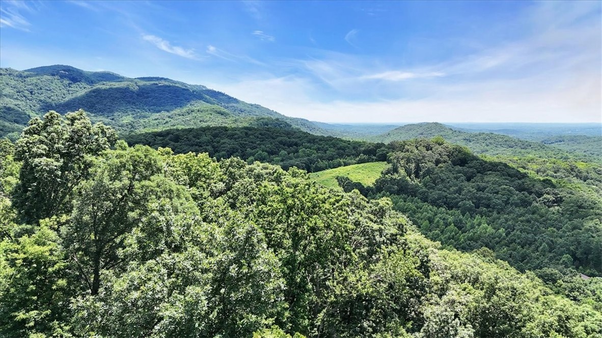 146 Glassy Falls Trail, Travelers Rest, South Carolina image 32