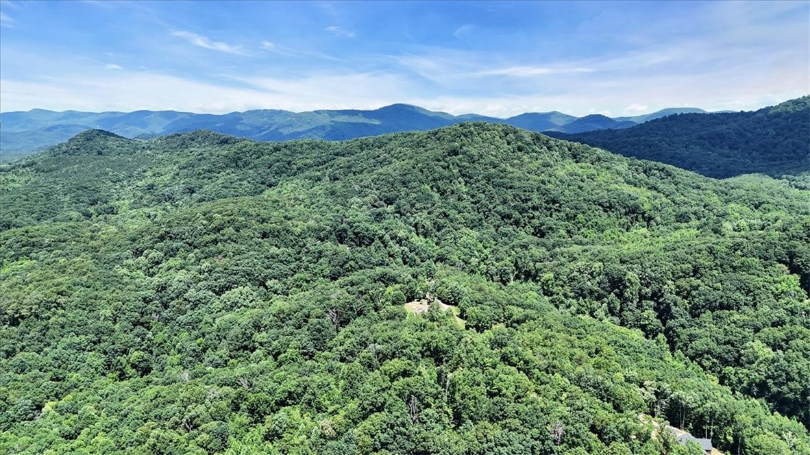 146 Glassy Falls Trail, Travelers Rest, South Carolina image 18
