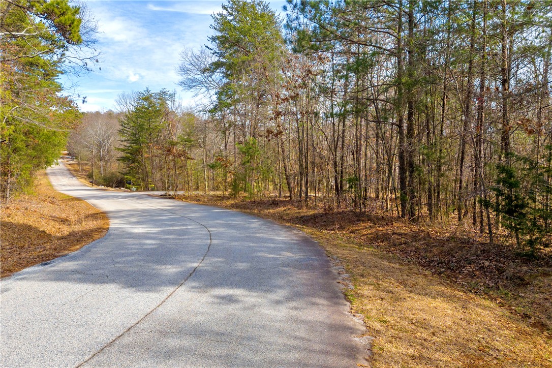 Freedom Heights Drive, Hartwell, Georgia image 6