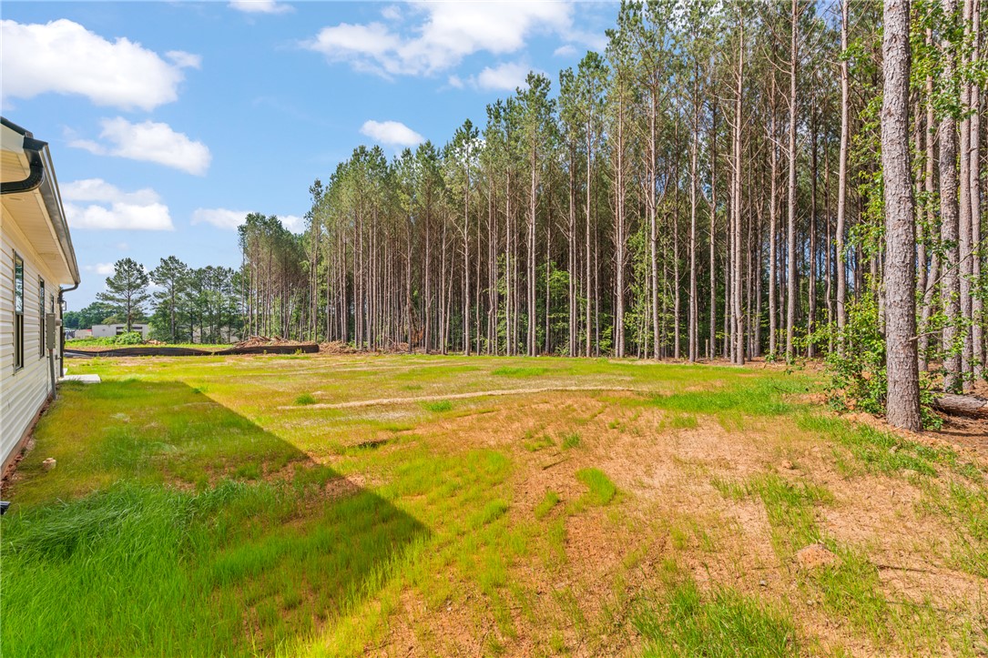 904 Beaverdam Road, Williamston, South Carolina image 30