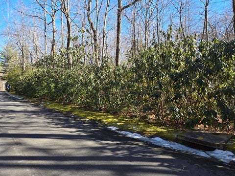 Vacant Land For Sale - 112 Hemlock Trail<br/> Greenville County, Cleveland, SC 29635